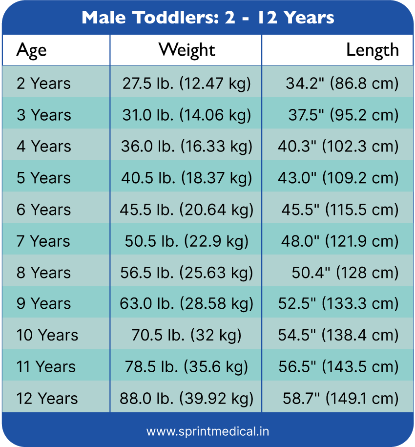 Weight Chart For Kids Understanding