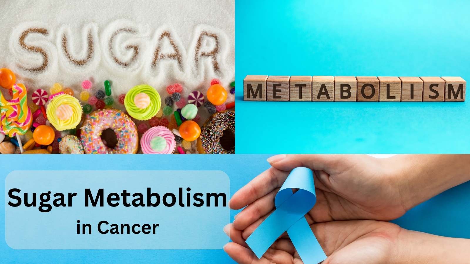 Sugar Metabolism is Typical in Cancer