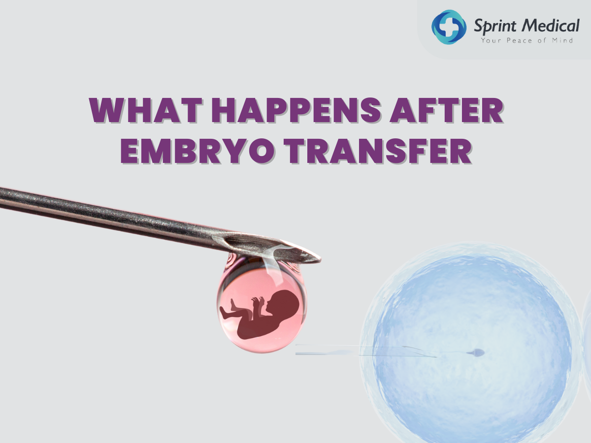 What happens after embryo transfer 