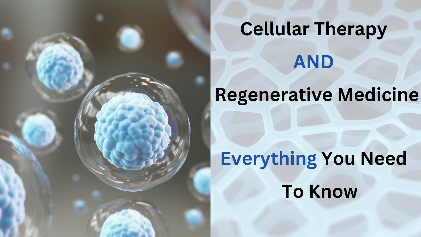 Regenerative medicine and cell therapy