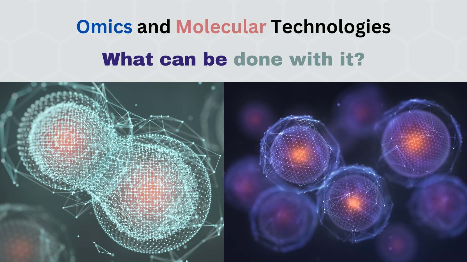 Omics and Molecular Technologies