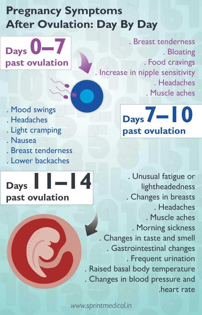 Early Pregnancy Symptoms After Ovulation: Day By Day(DPO)