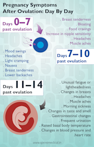 Ovulation Pregnancy Symptoms Asnachicago