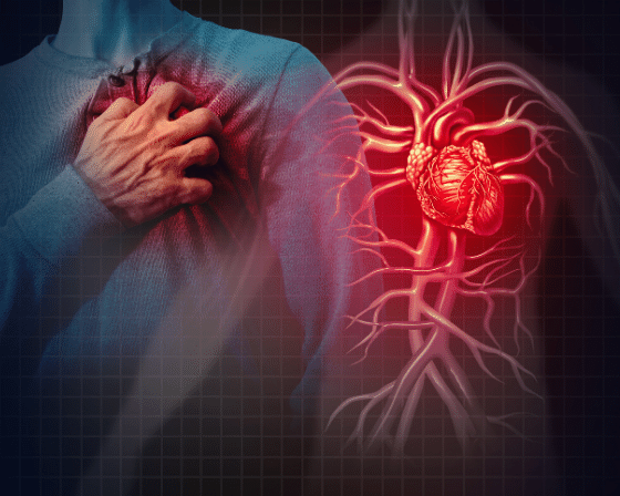 Cardiovascular disease its Symptoms, Risk Factors and Treatment