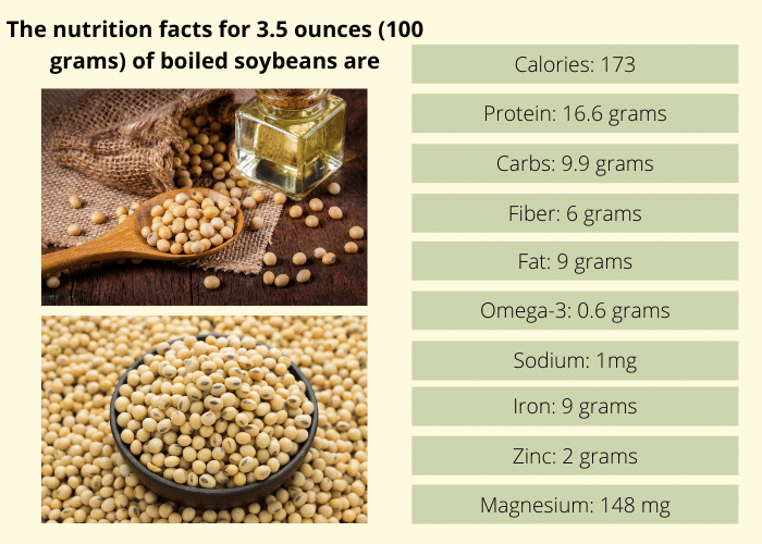 SOYBEANS - Healthy Meals and Biofuels – Uses Across Industries