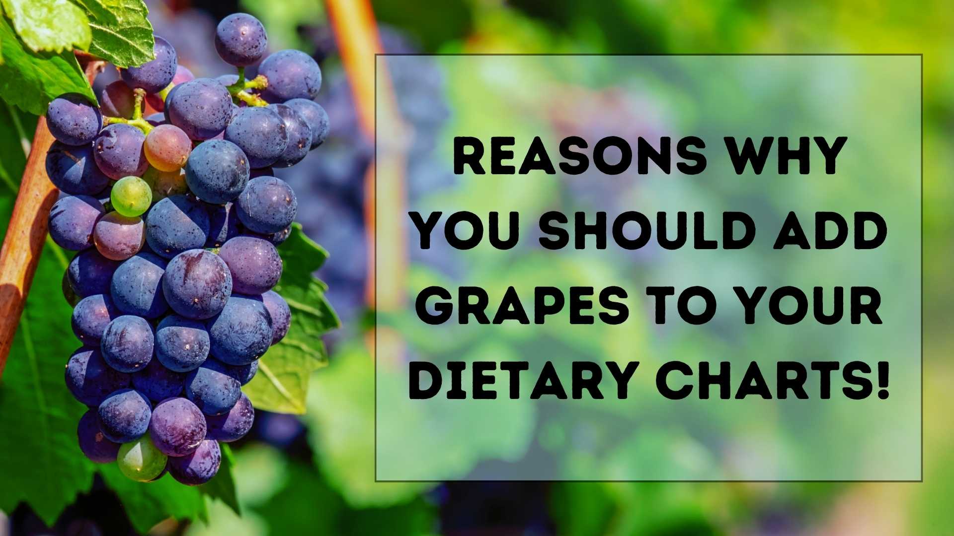 Reasons why you should add Grapes to your Dietary Charts!