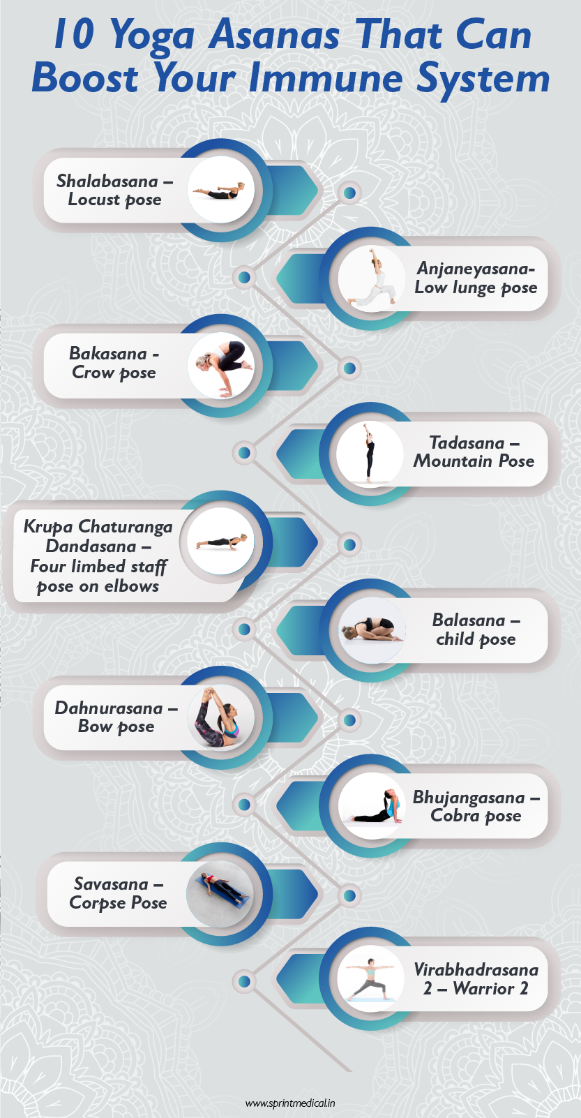 Yoga and the Immune System | Ambuja Yoga