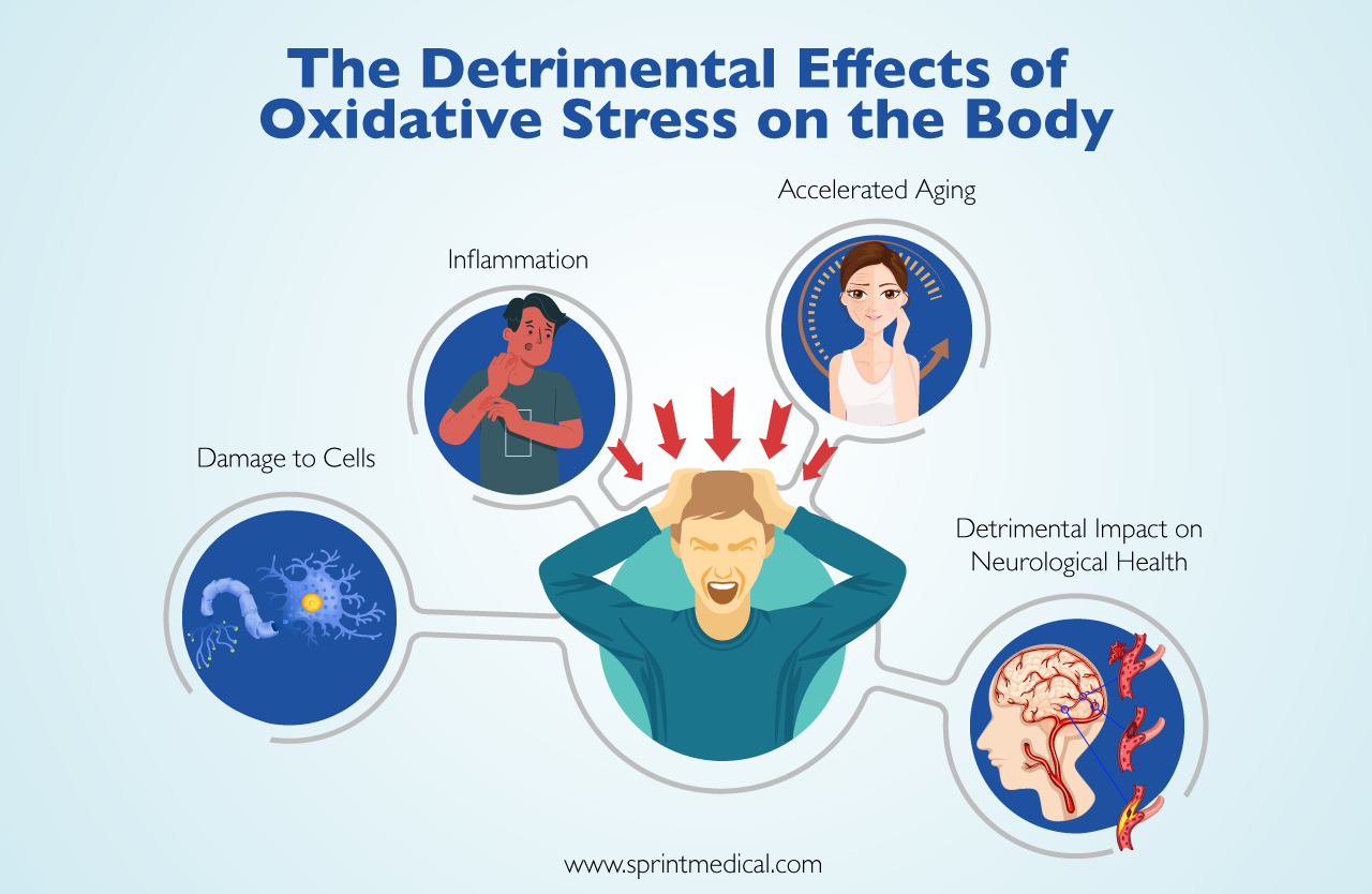 What Is Oxidative Stress Causes Symptoms And Prevention