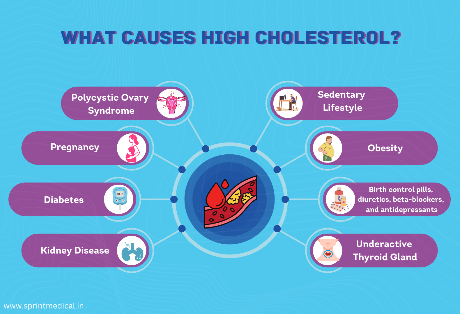 High Cholesterol Dietary Changes   Sprint Medical