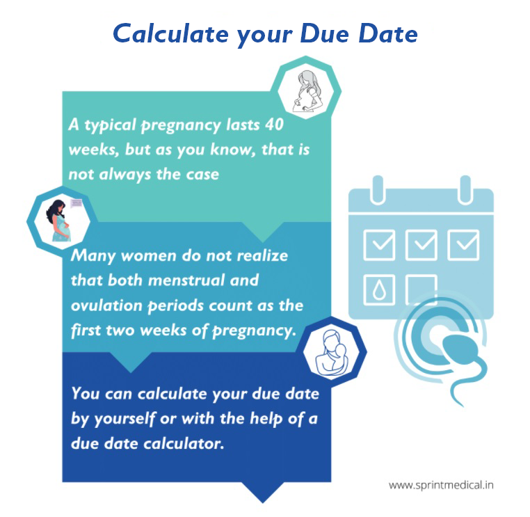 años Murciélago Pino Pregnancy Due Date Calculator - How Many Weeks Pregnant Calculator | Sprint  Medical