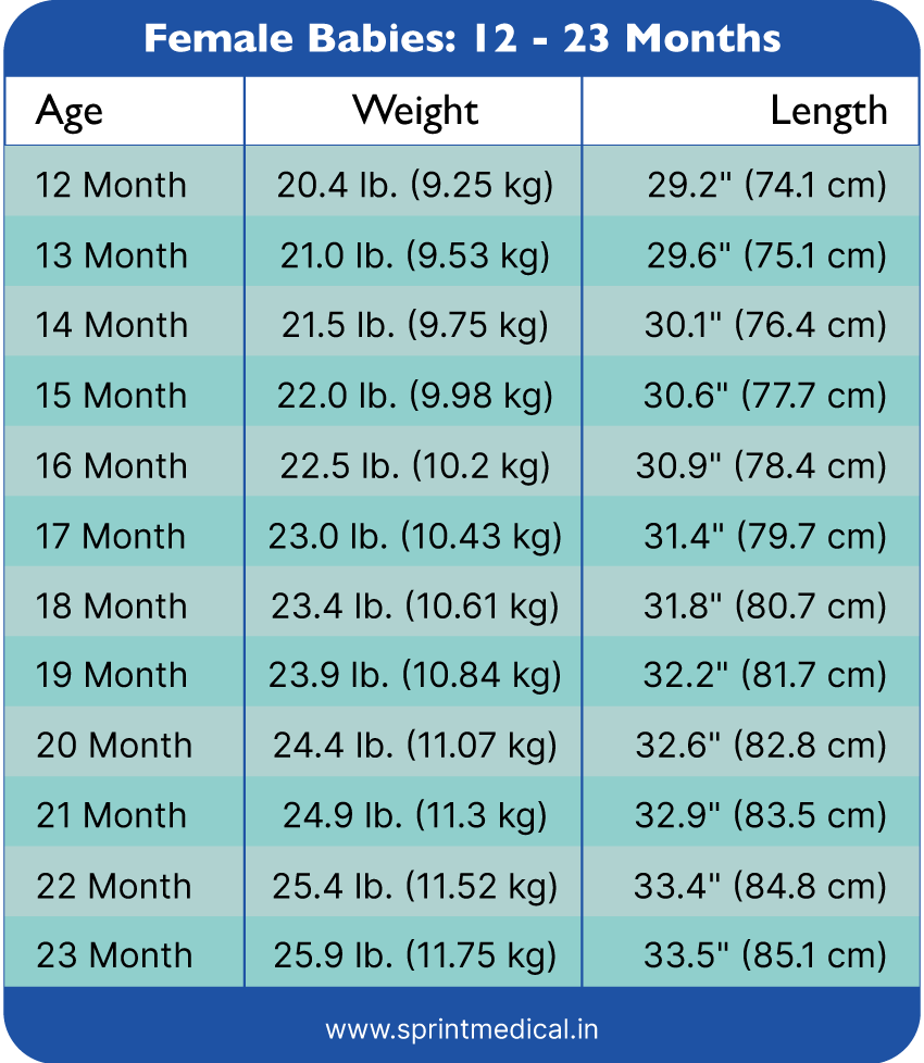 Height To Weight Chart Female Babies 12 23  Months  2  