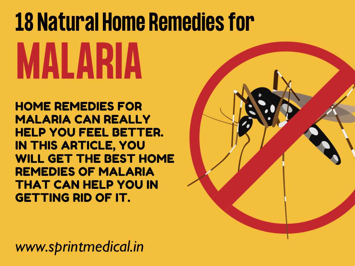 18 Natural Home Remedies for Malaria