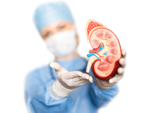 Nephrologist