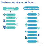 What Are Risk Factors For Vascular Disease At Catharine Blanco Blog