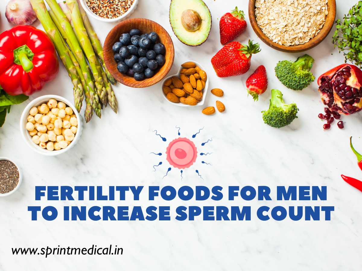 Fertility foods for Men to Increase Sperm Count