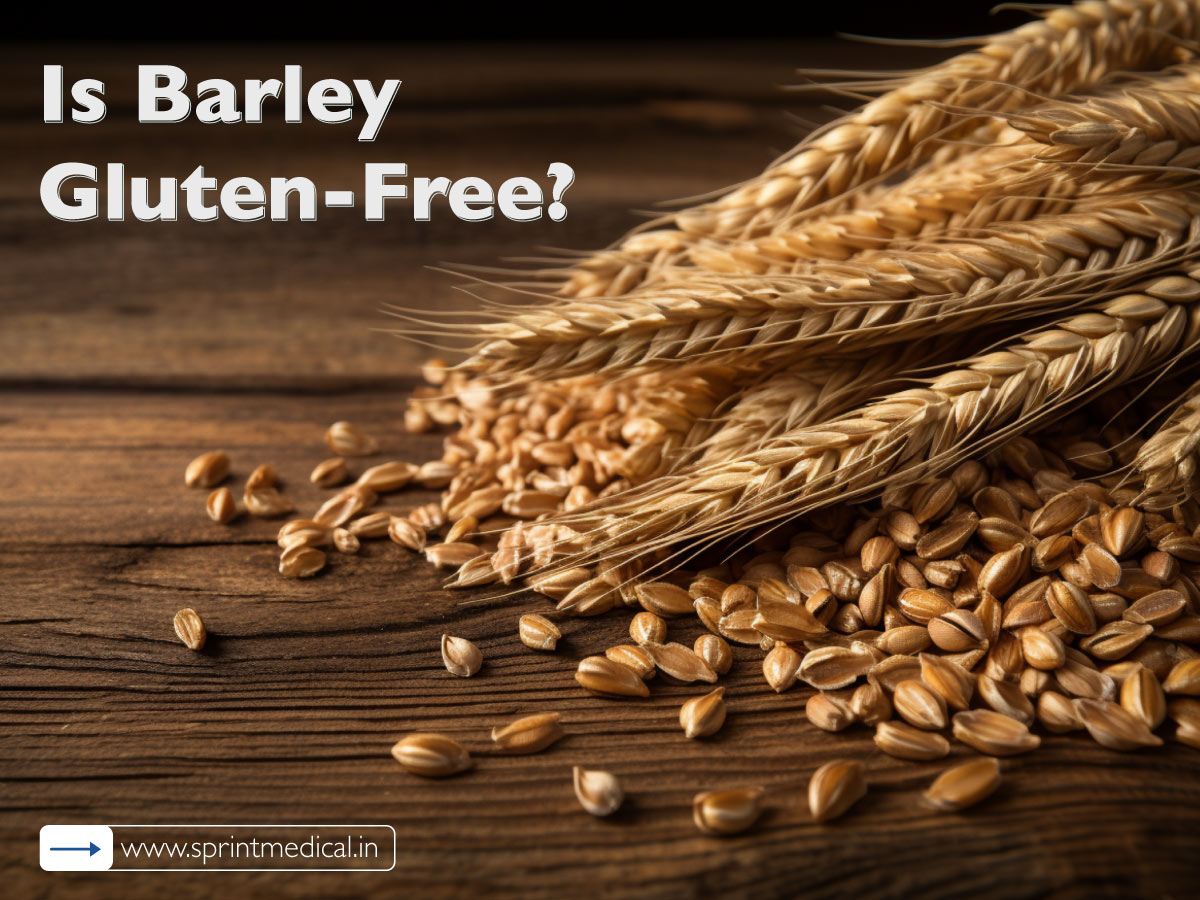 Barley’s-Nutritional-Value-Feature-Image