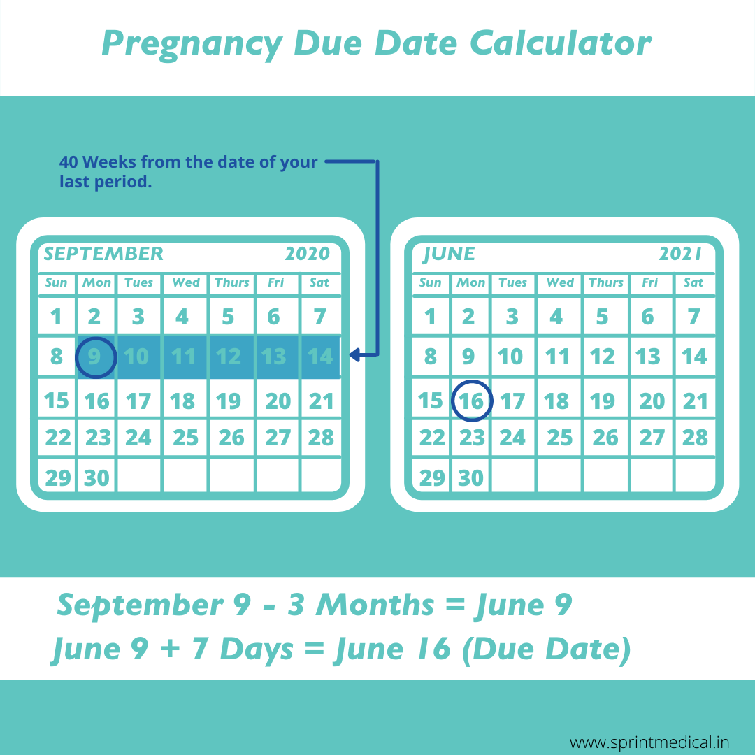 Pană slab Enciclopedie how to calculate pregnancy due date Merita ...