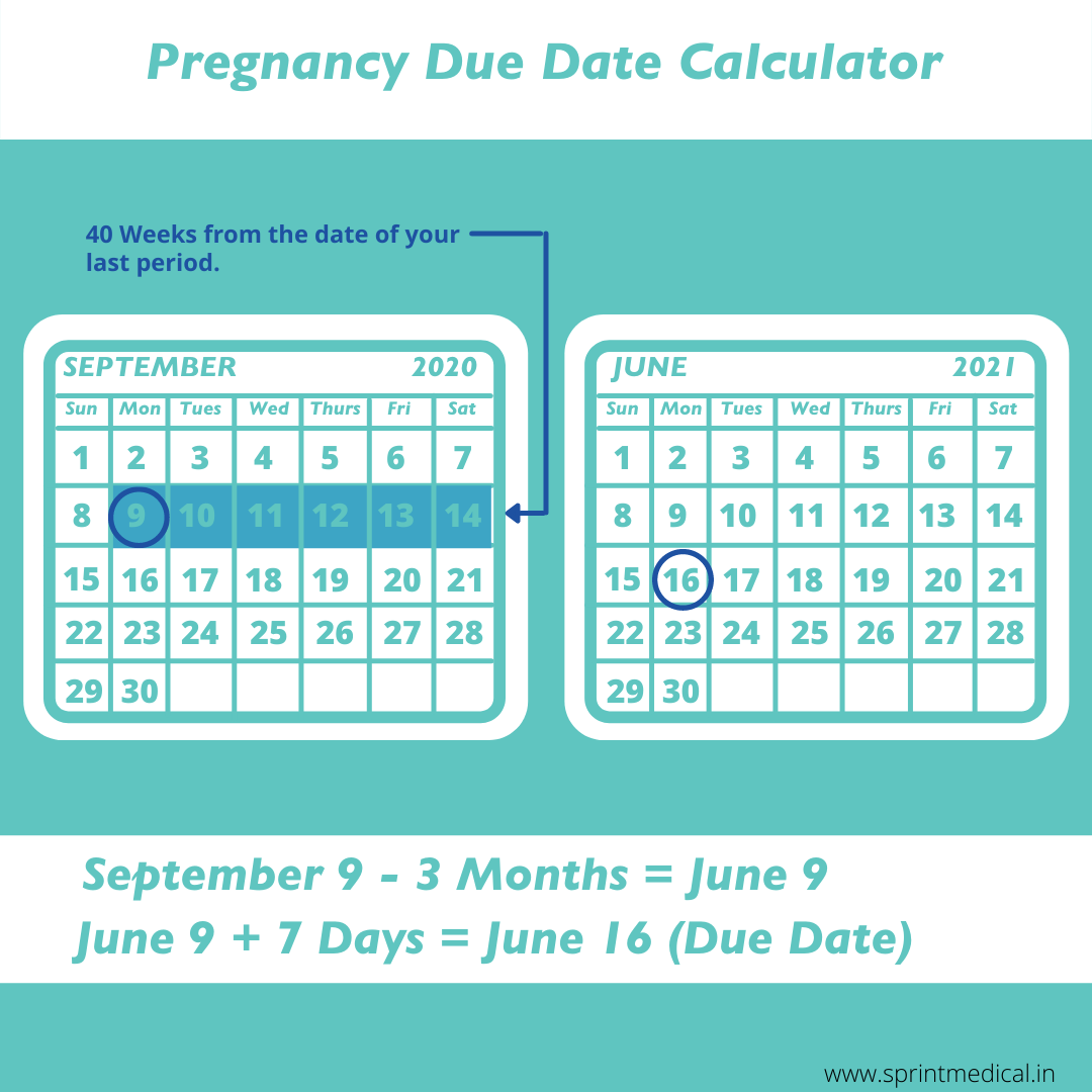 Due Date Calculator How Many Weeks Pregnant Am I Sprint Medical