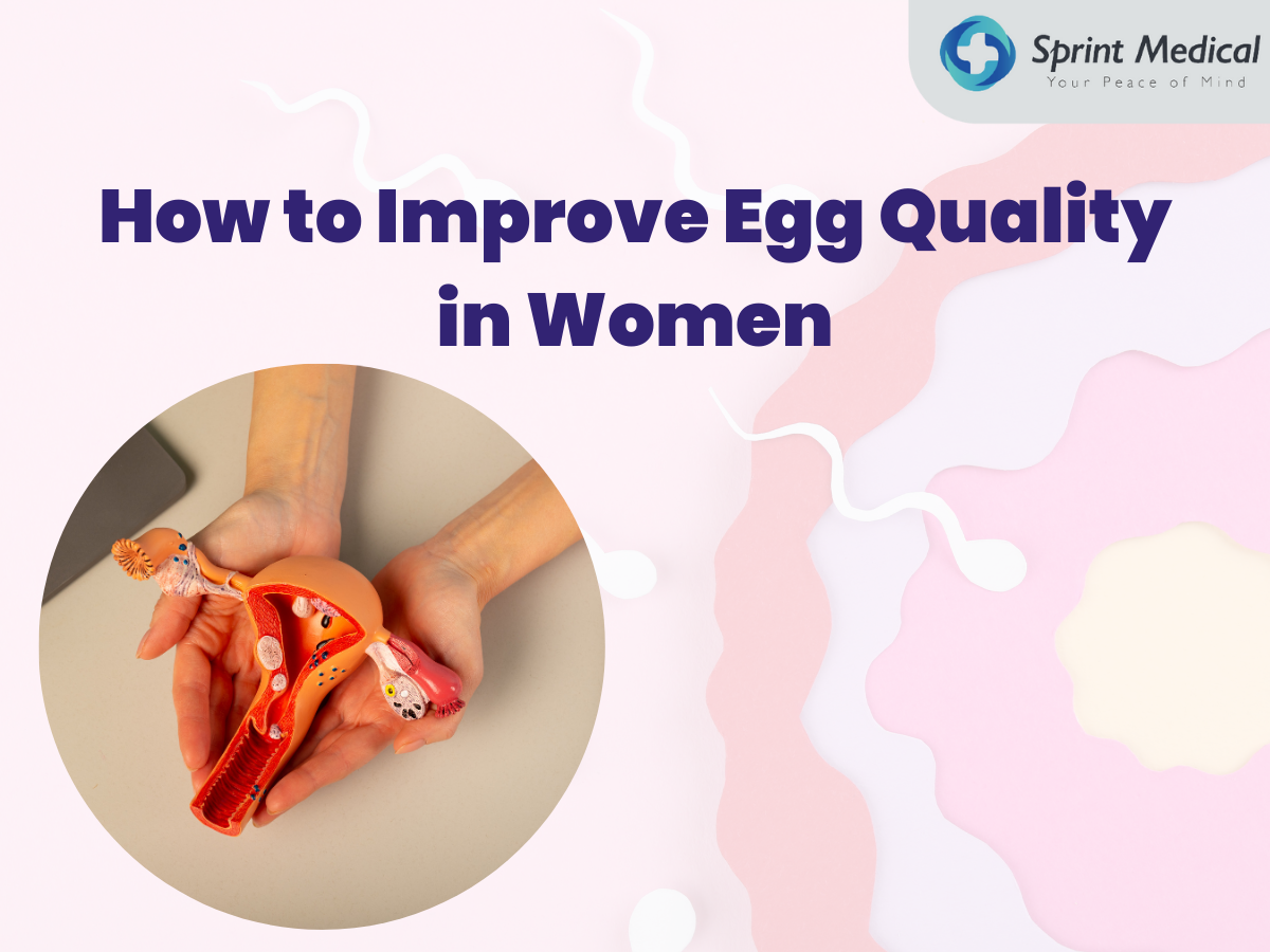 How to Improve Egg Quality in Women