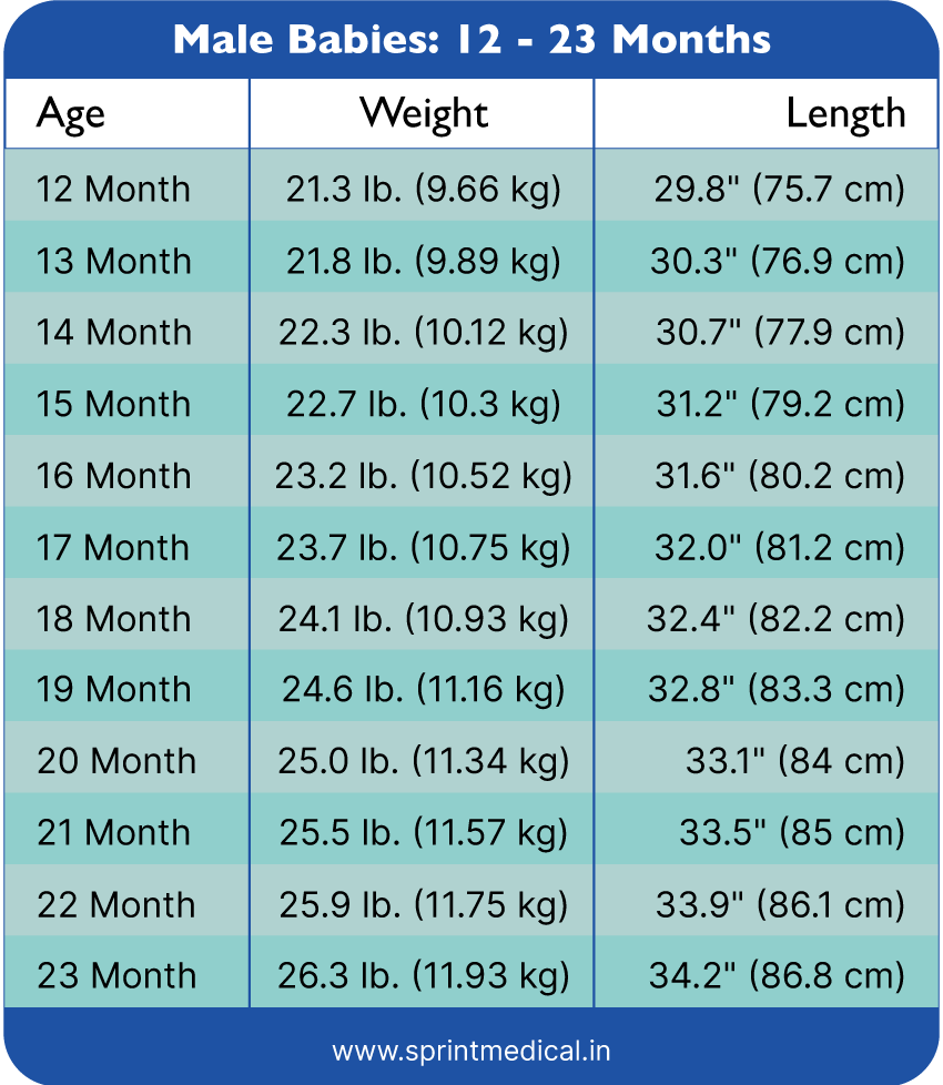 weight chart according to age