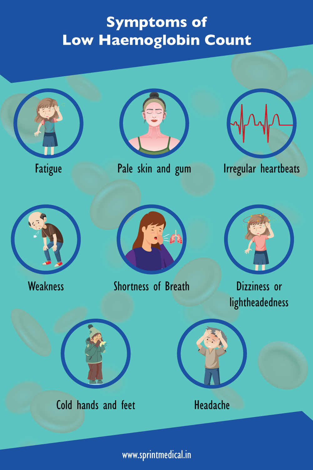 Foods That Improve Your Haemoglobin Count Naturally