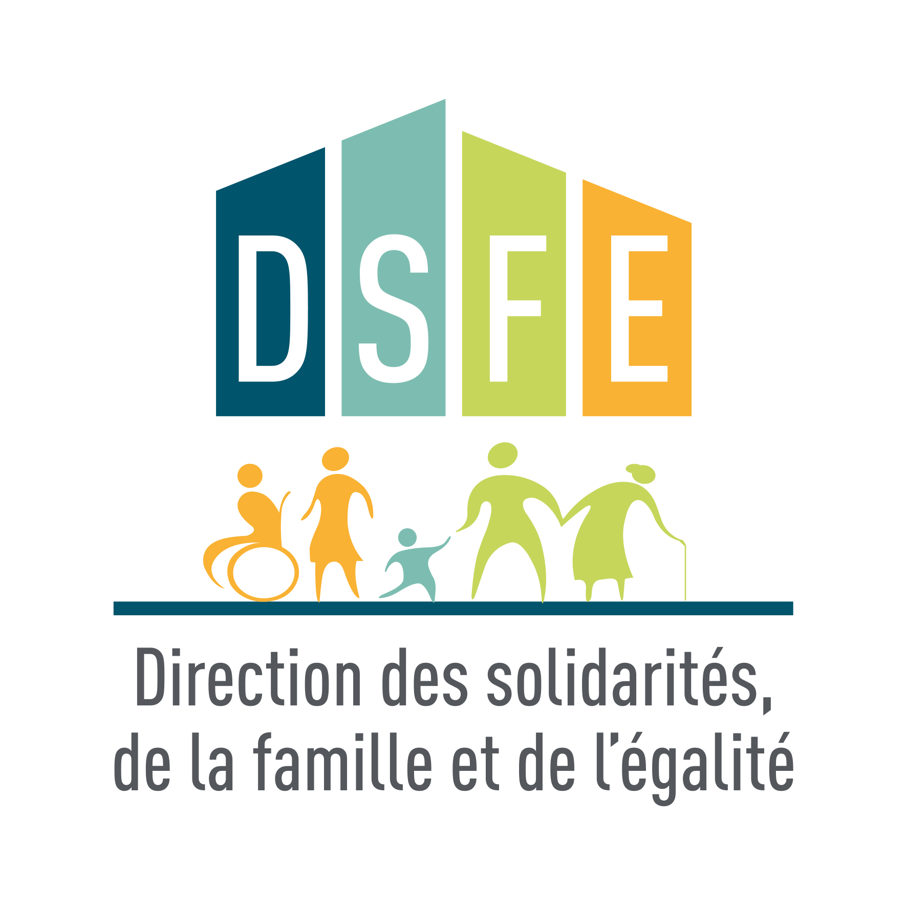 DSFE Direction des Solidarités, de la Famille et de l'Egalité