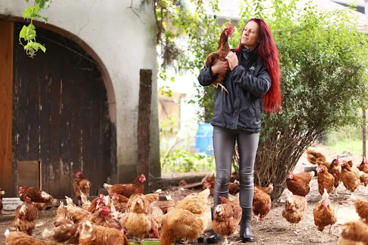 Entrepreneuse financée par l'Adie s'occupant de ses poules
