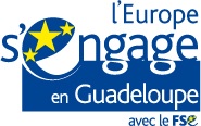 Le Fonds Social Européen en Guadeloupe 