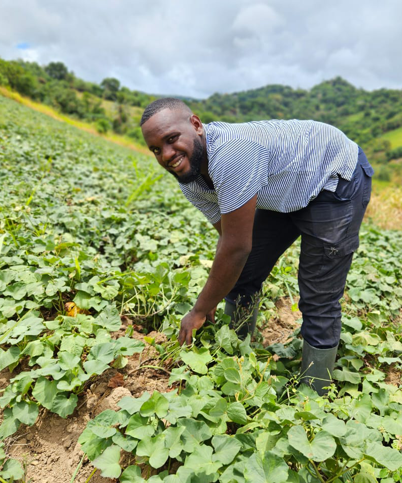 Photo Dylan agriculteur financé par l'Adie en Martinique