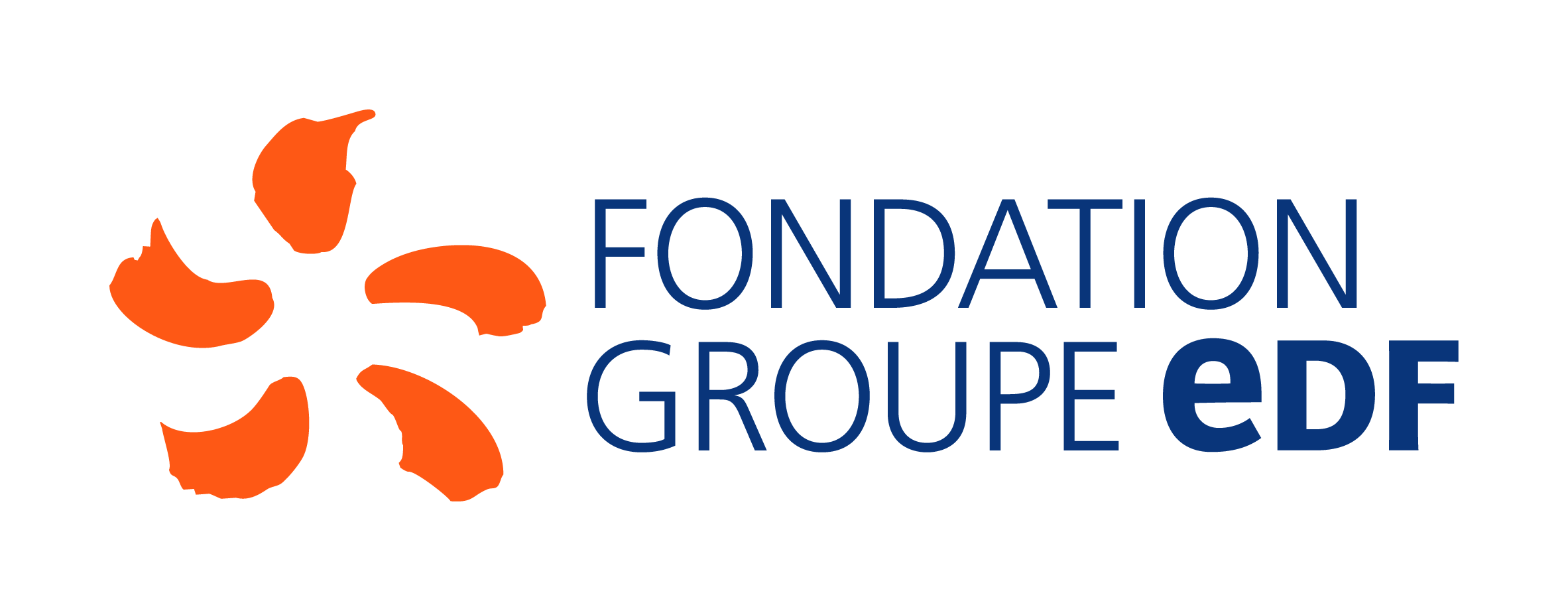 La Fondation Groupe EDF