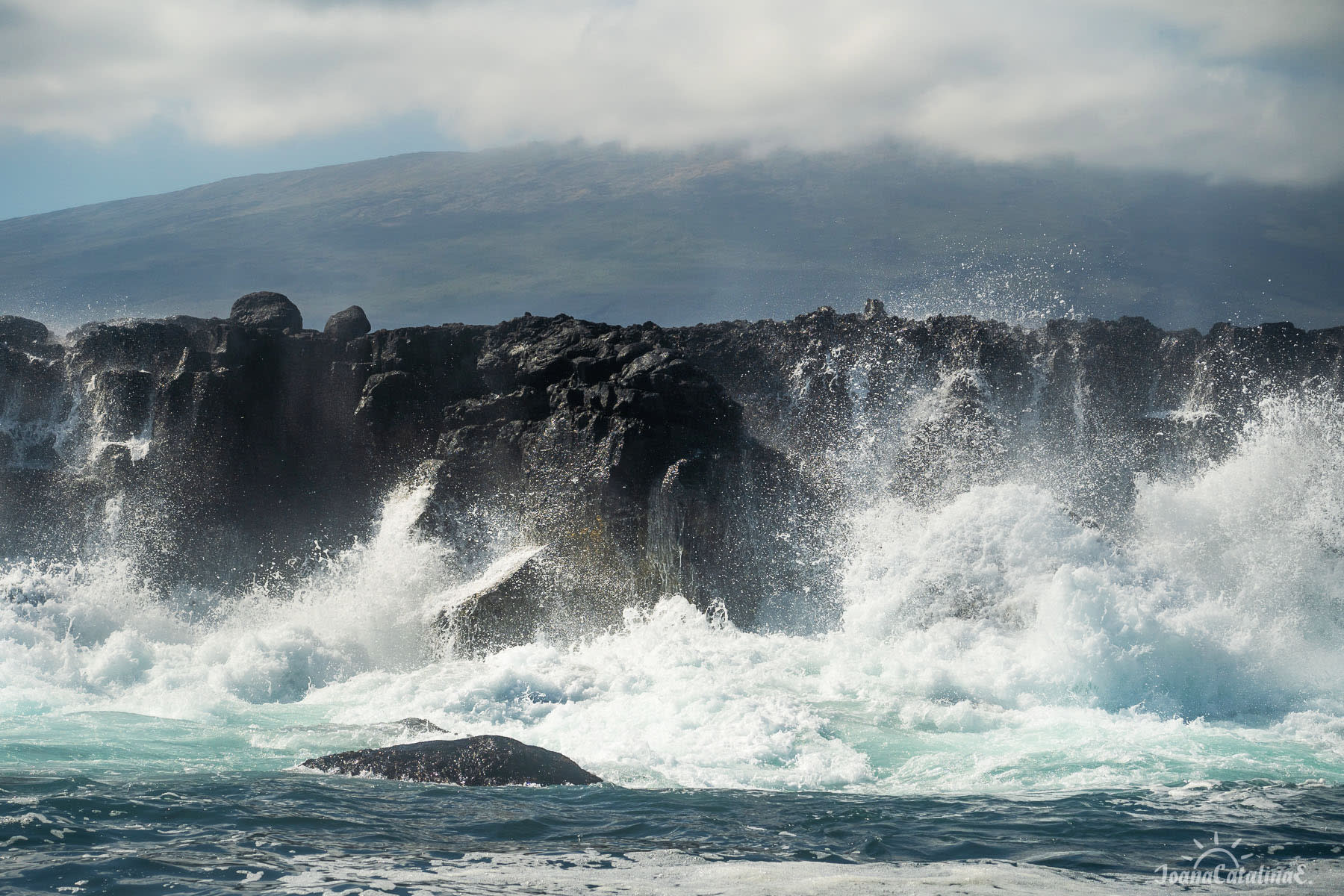 Waves in Galapagos