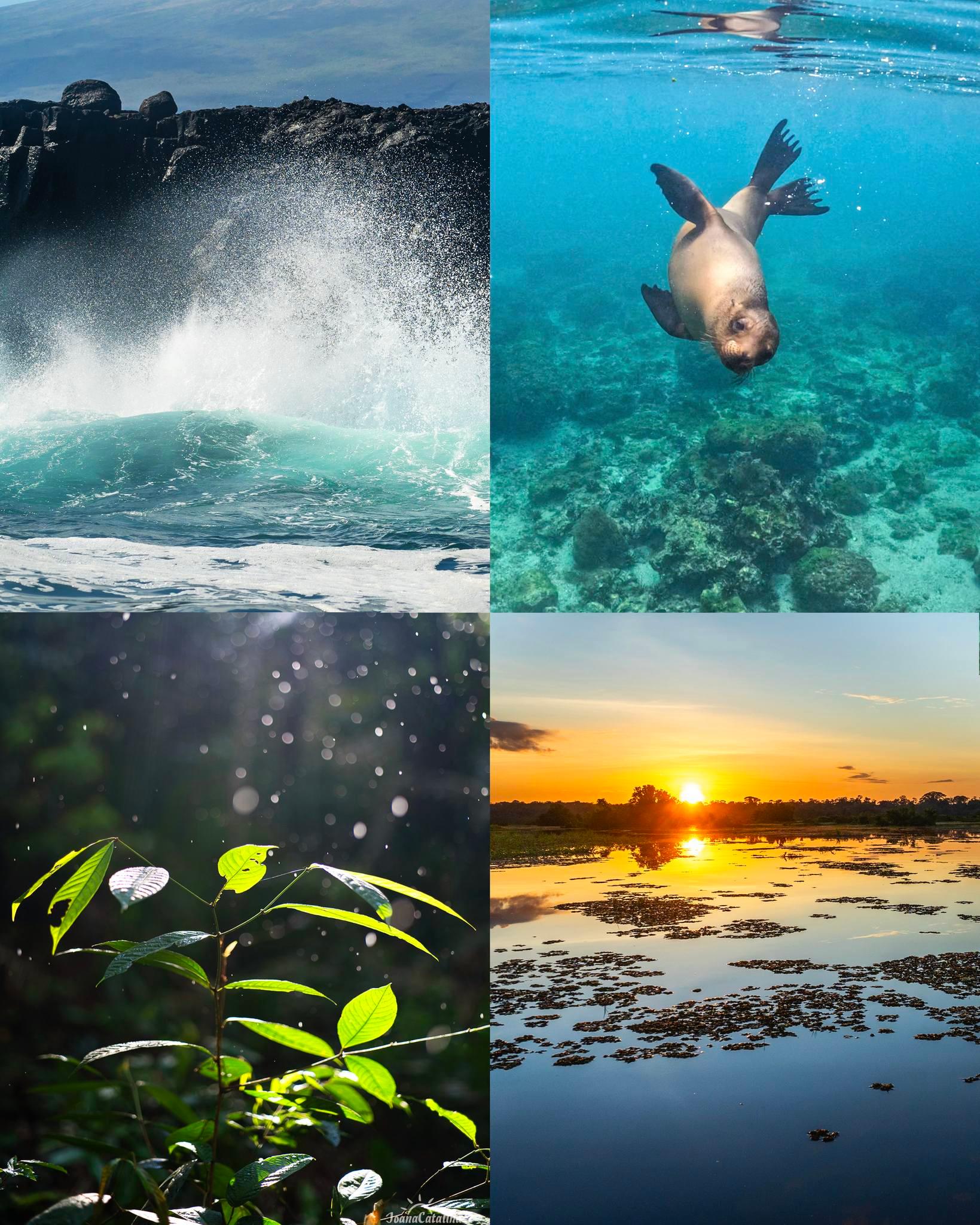 South America collage