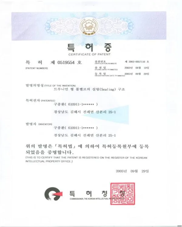 PATENT (0519554)