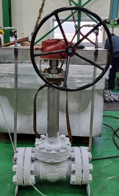 Cryogenic Ball Valves