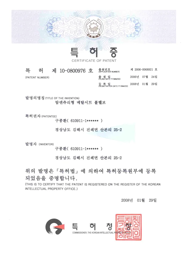 PATENT (10-0800976)