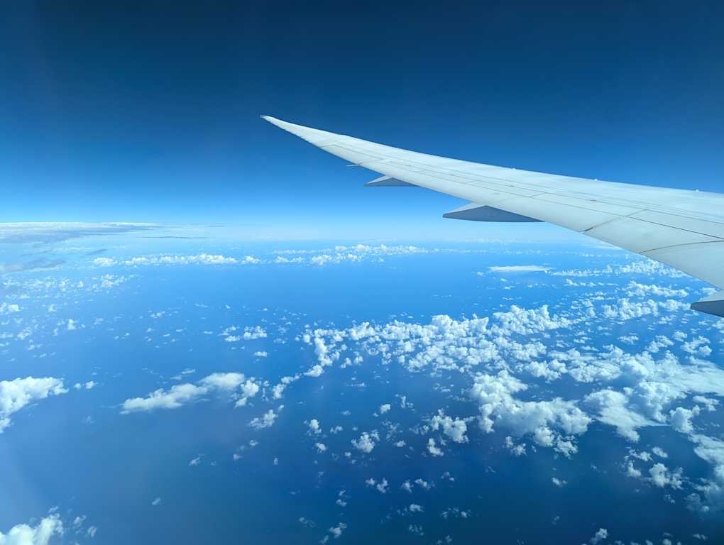 飛行機