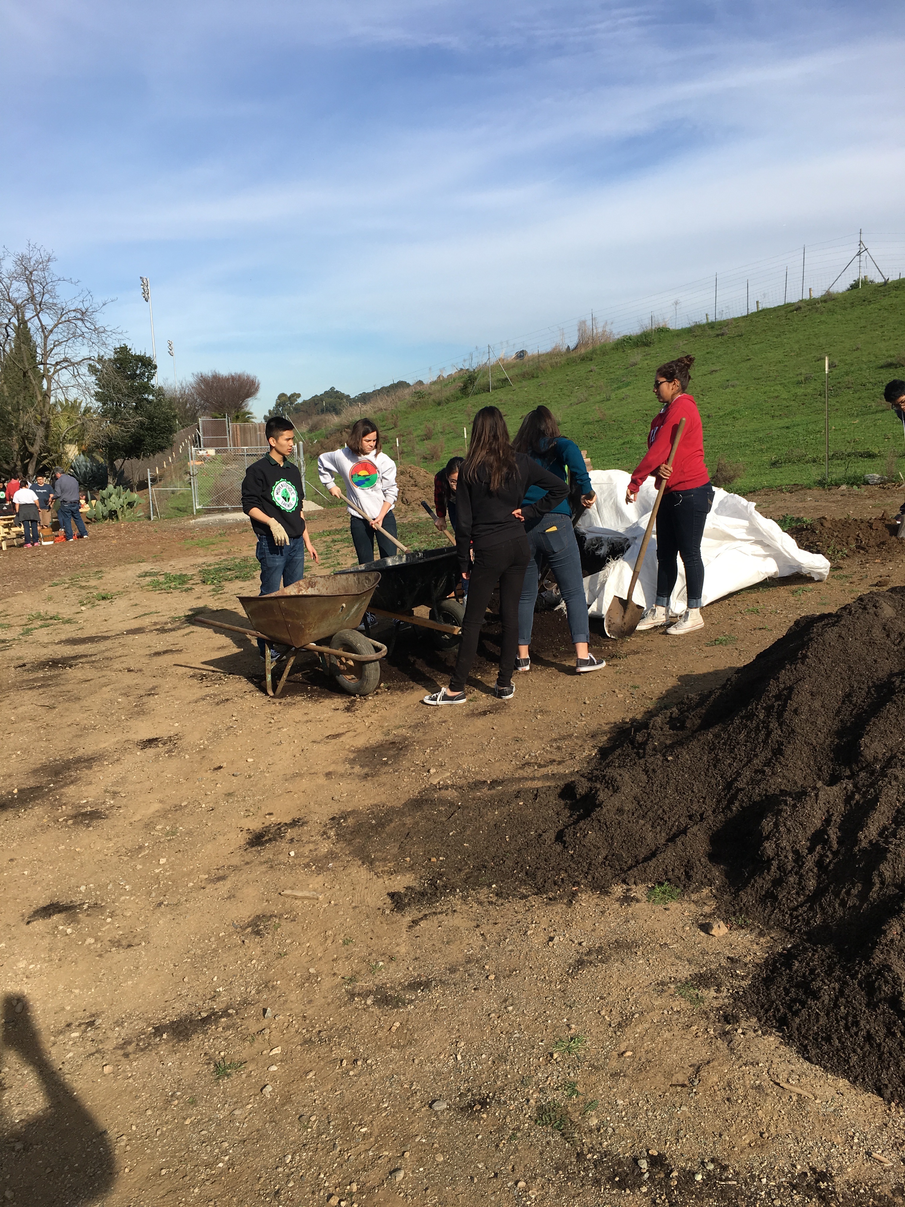 The early days of the garden. Photo Credit: Serena Maniscalco