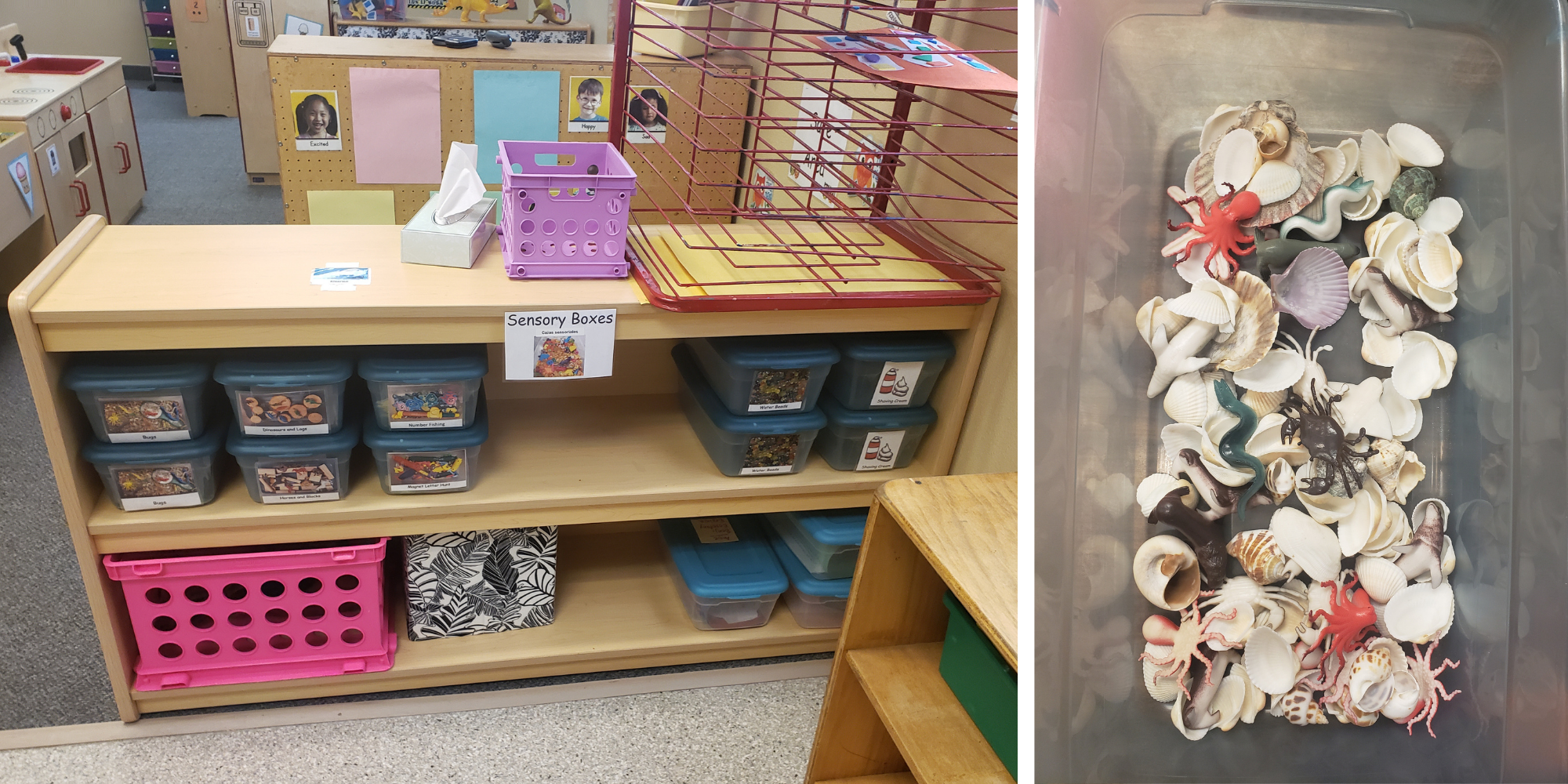 (Left) Kristal Salcido's sensory boxes in the pre-K classroom at Happy Day. (Right) A sensory bin containing seashells and plastic sea animals. (Photos provided by Kristal Salcido)
