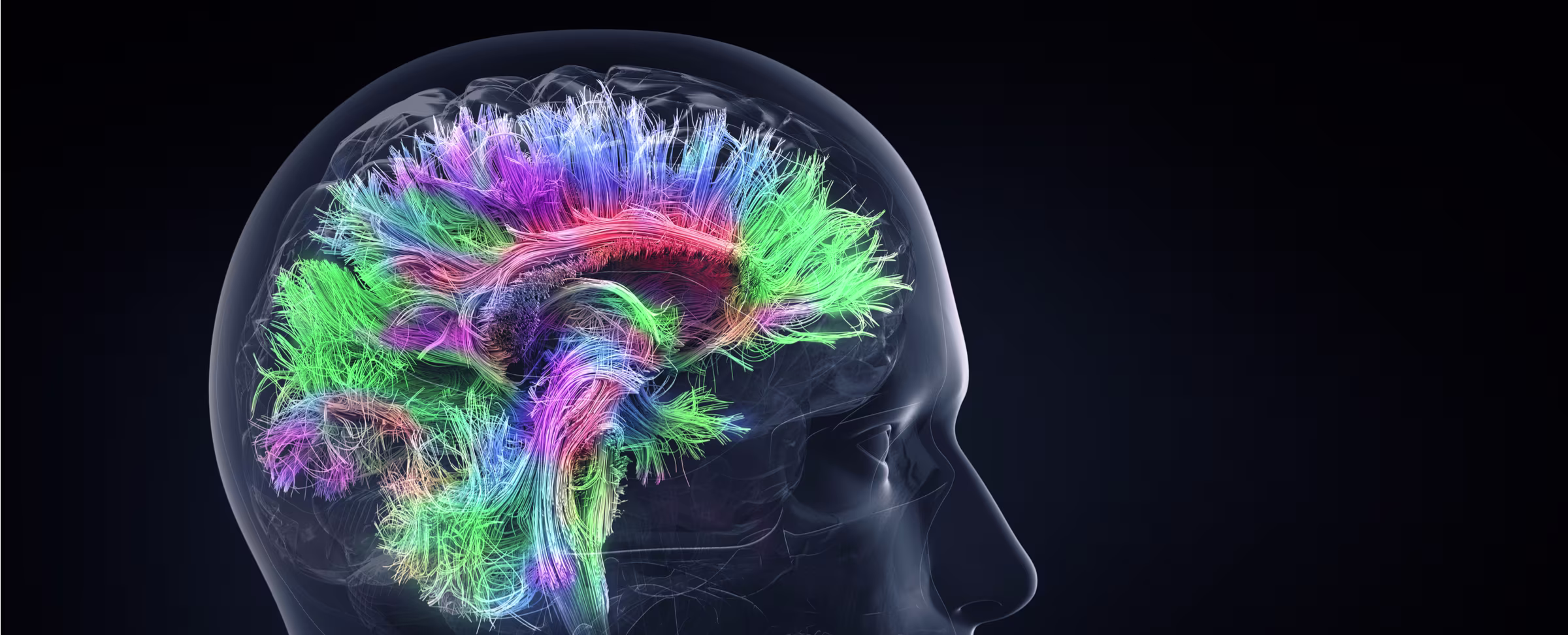 Is Technology Bad for the Teenage Brain? (Yes, No and It’s Complicated.)