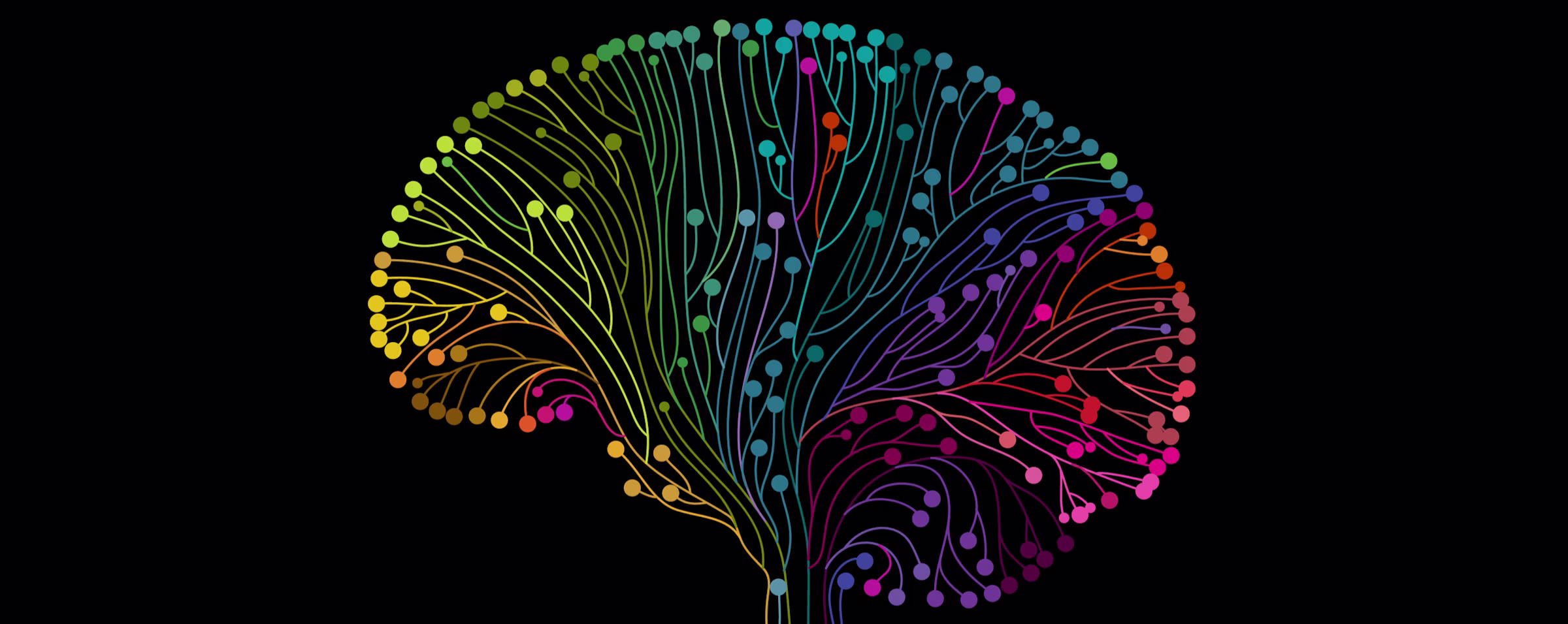 How to Improve Brain Function and Reverse Poverty's Impact on Student Learning
