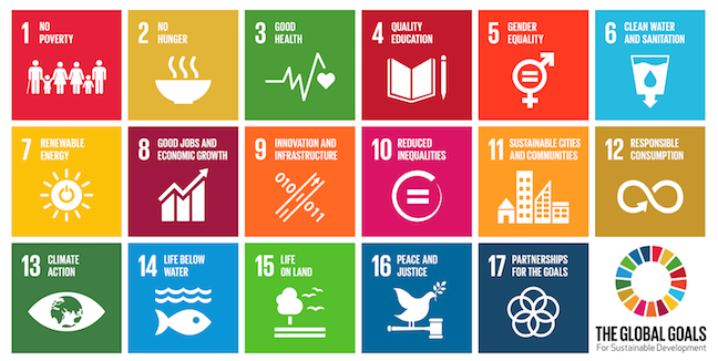 Global Goals for Sustainable Development, Image Credit: United Nations