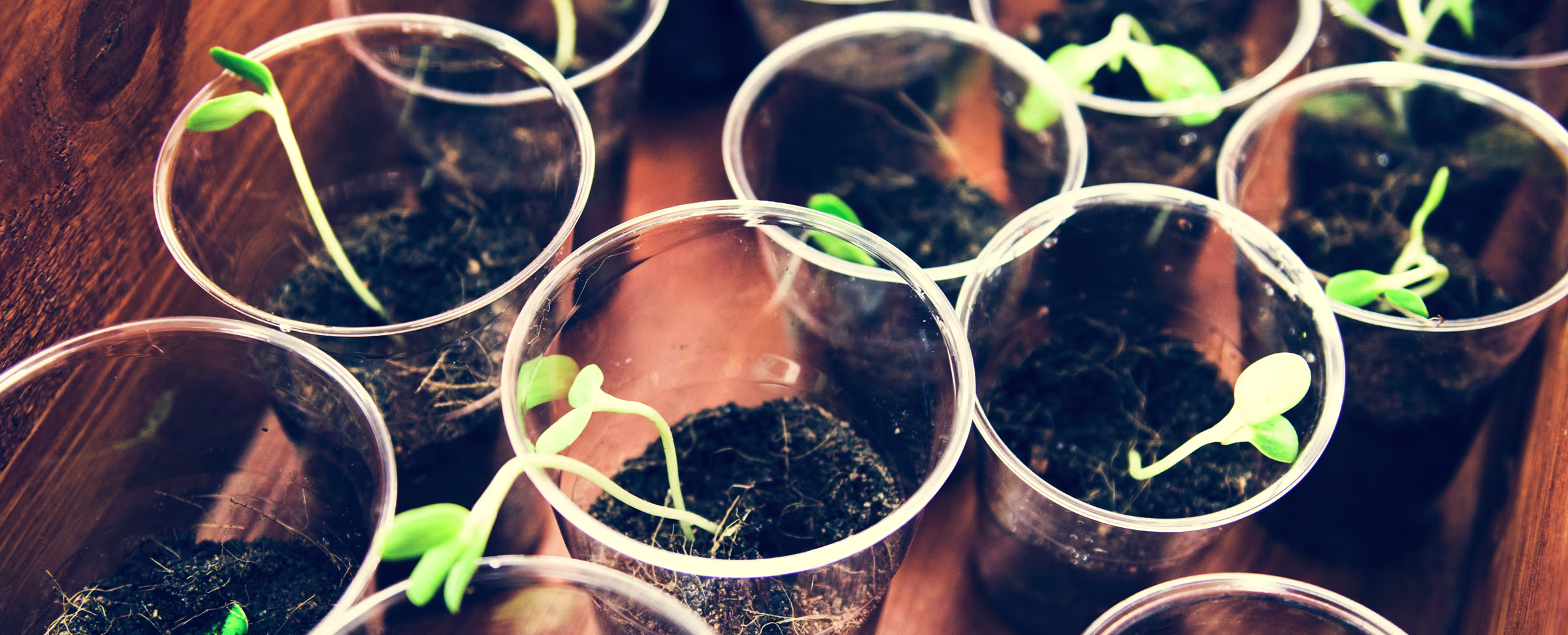 Why Growth Mindset Still Has Some Growing to Do