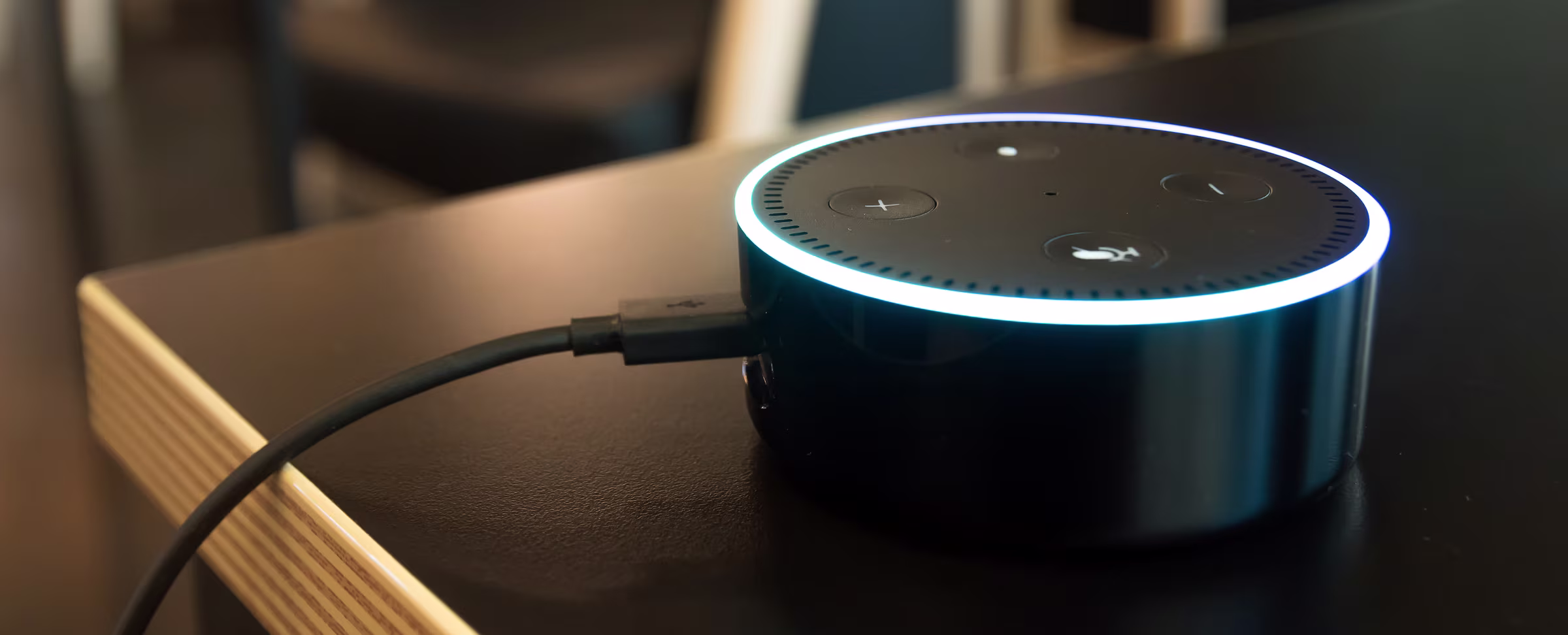 Do Voice Assistant Devices Have a Place in the Classroom?