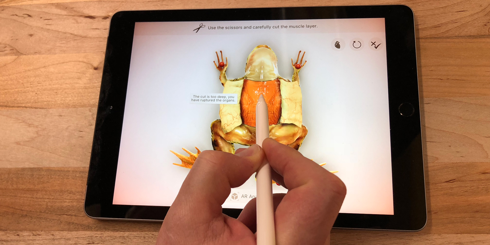 Dissecting a frog on Apple’s new iPad