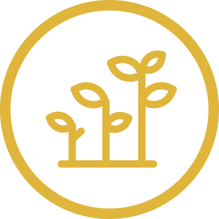 Growth-1556909034.png