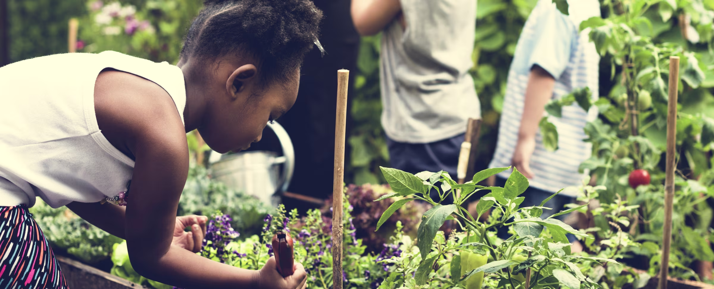 What’s the Difference Between Project- and Challenge-Based Learning, Anyway?