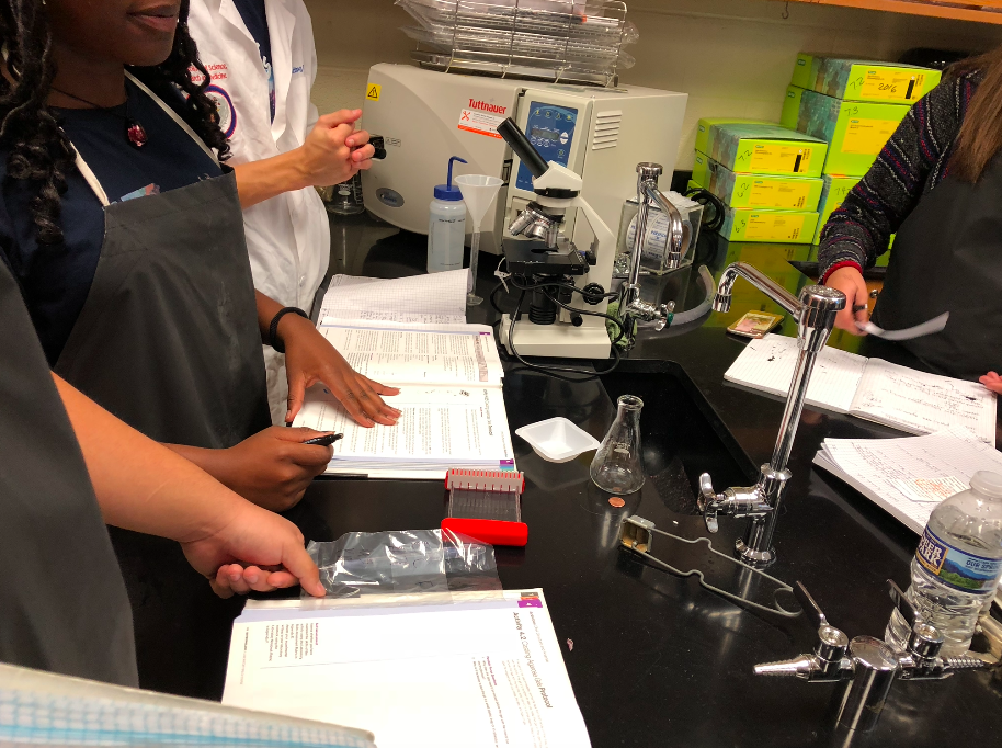 Paulding County High School students working