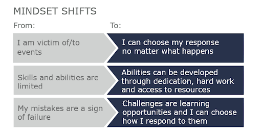 ( BTS Spark, Personal Resilience Mindset Shifts )