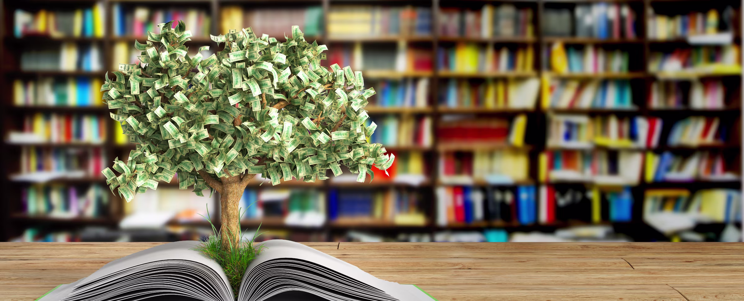 Are K-12 Curriculum Tools a Smart Investment? What Investors and Our Data Say
