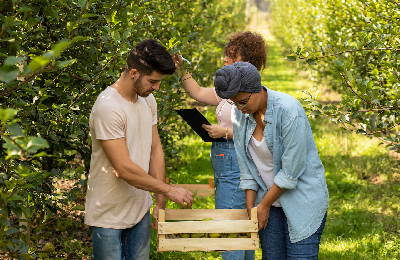 students farming